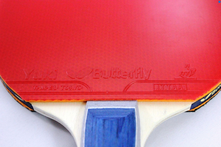 מחבט בטרפליי מקצועי כולל כיסוי BUTTERFLY TBC201 – תמונה 4